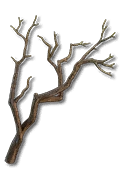 BUY Corrupted Roots * 50-Diablo 4 Items