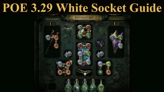 PoE 3.29 White Socket Guide PoE 3.29 White Socket Guide