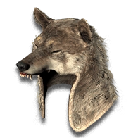 Wolf Head