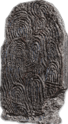 Fingerprint Stone Shield