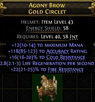 AGONY BROW GOLD CIRCLET-1