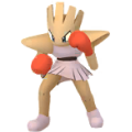 Hitmonchan