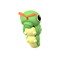Caterpie