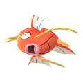 Magikarp