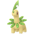 Bayleef