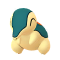 Cyndaquil