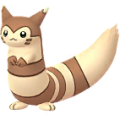 Furret