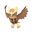 Noctowl