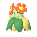 Bellossom