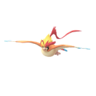 Pidgeot