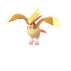 Pidgeot