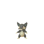 Rattata