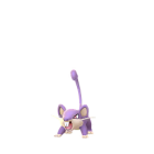 Rattata