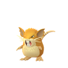 Raticate