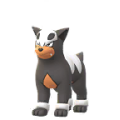 Houndour