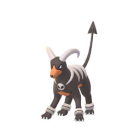 Houndoom
