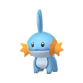Mudkip