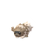 Zigzagoon