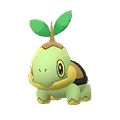 Turtwig