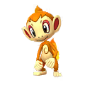 Chimchar
