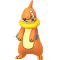 Buizel