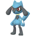 Riolu