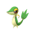 Snivy