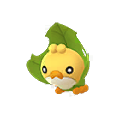 Sewaddle
