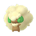 Whimsicott
