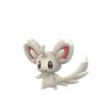 Minccino