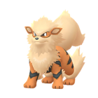 Arcanine