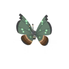 Vivillon