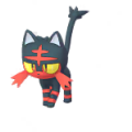 Litten