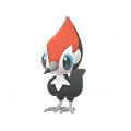 Pikipek