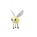 Cutiefly