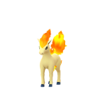 Ponyta