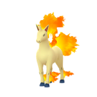 Rapidash