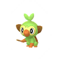 Grookey