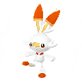 Scorbunny