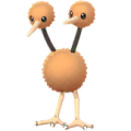 Doduo