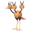 Dodrio